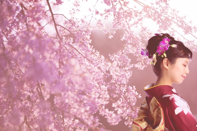 春は着物をレンタルして桜満開の京都へ！