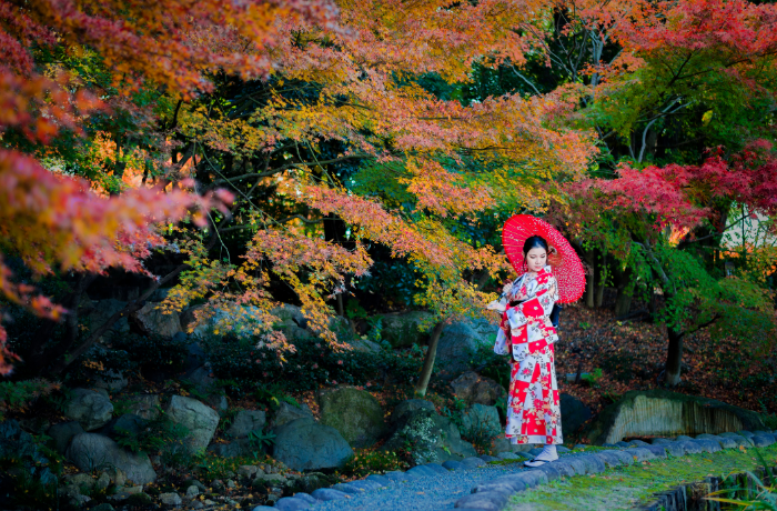 秋の風物詩”紅葉のライトアップ”は着物を着て京都へ